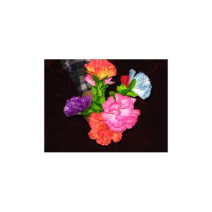 זר פרחים מופיע 163