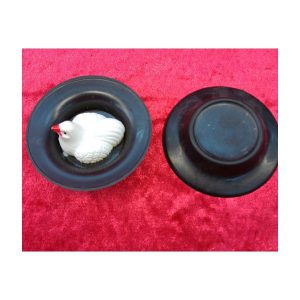 תרנגולת מטילה ביצים 268