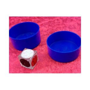 קובית טלפתיה 301