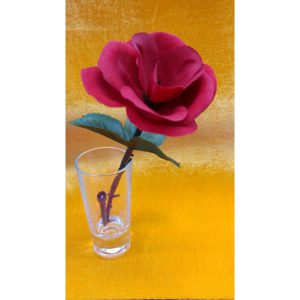 פרח מופיע 314