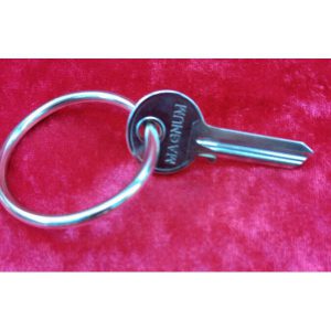 מחזיק מפתחות 313