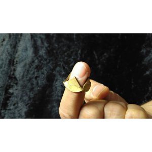 מטבע נינגה 373