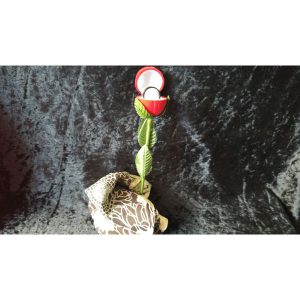 טבעת מופיעה בתוך פרח