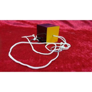 קוביה ממושמעת