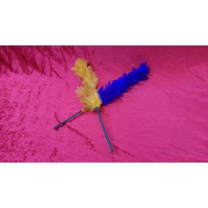 נוצות מחליפות צבעים