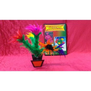 התמונה הופכת למציאות