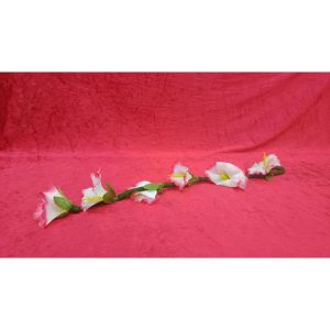 פרח נרדם וקם