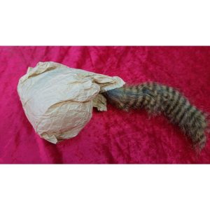 עכבר במלכודת 687