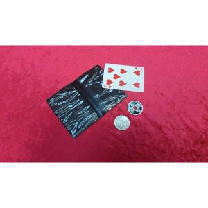 מטבע סיני אמריקאי 774