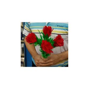 זר פרחים אומר שלום 803