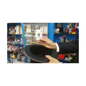 הולדר קלפים 834