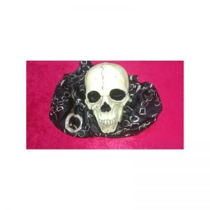 זומבי גולגולת באויר 880