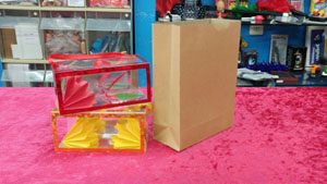 שקית הפתעה 10785