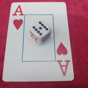 קוביית הפלא 11230