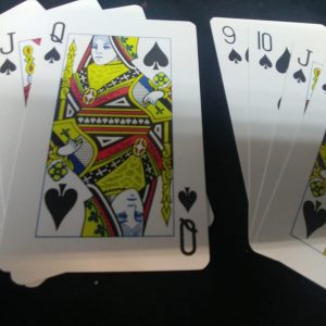 התאומים 11238