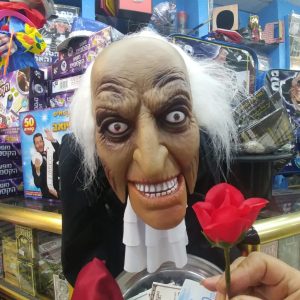 פרחים מופיעים ונעלמים 11287