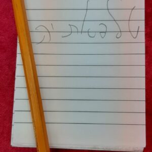 חיזוי מספר 12001